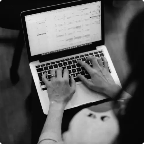 WordPress Website Migration Services